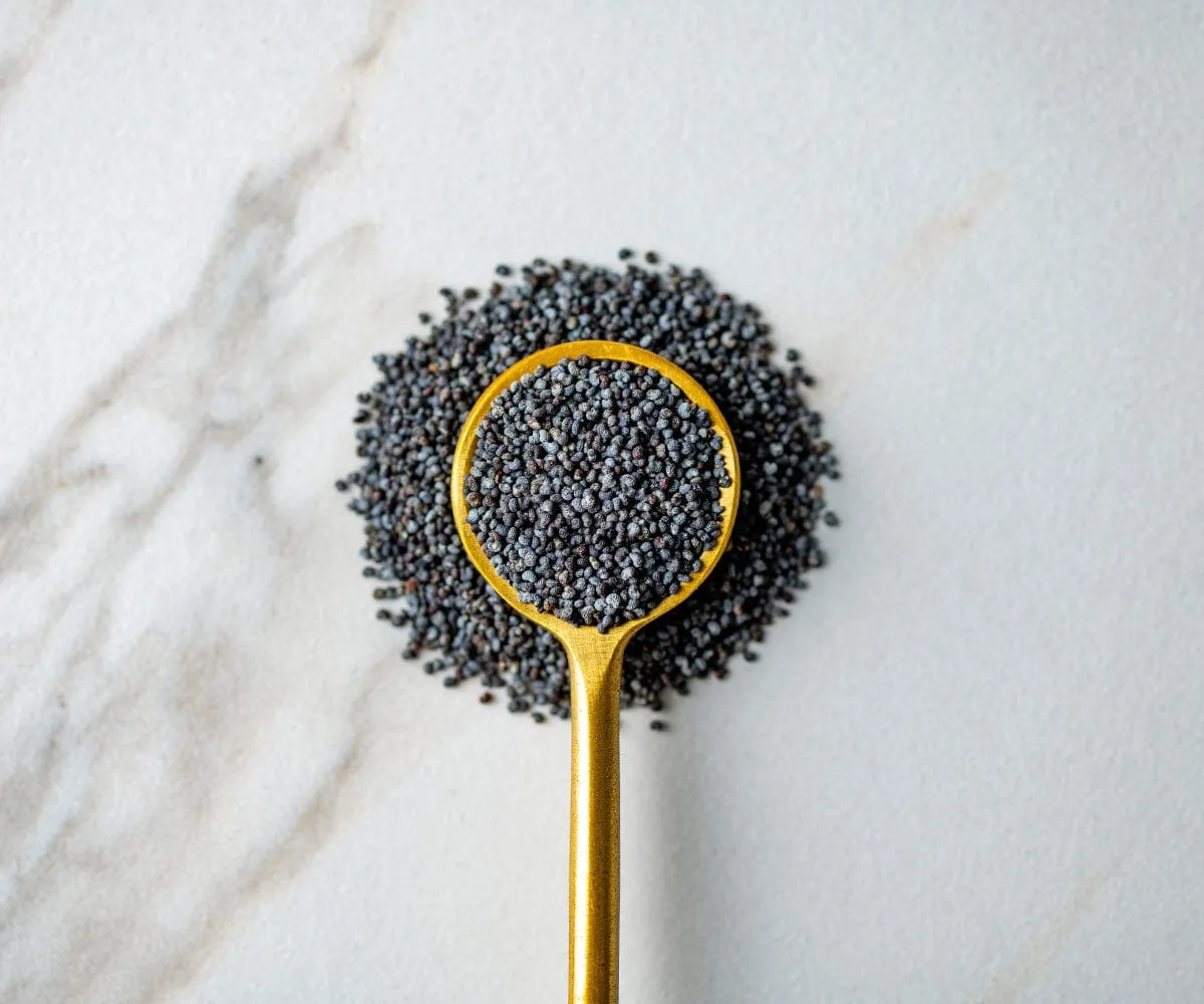 Dutch Blue Poppy Seeds