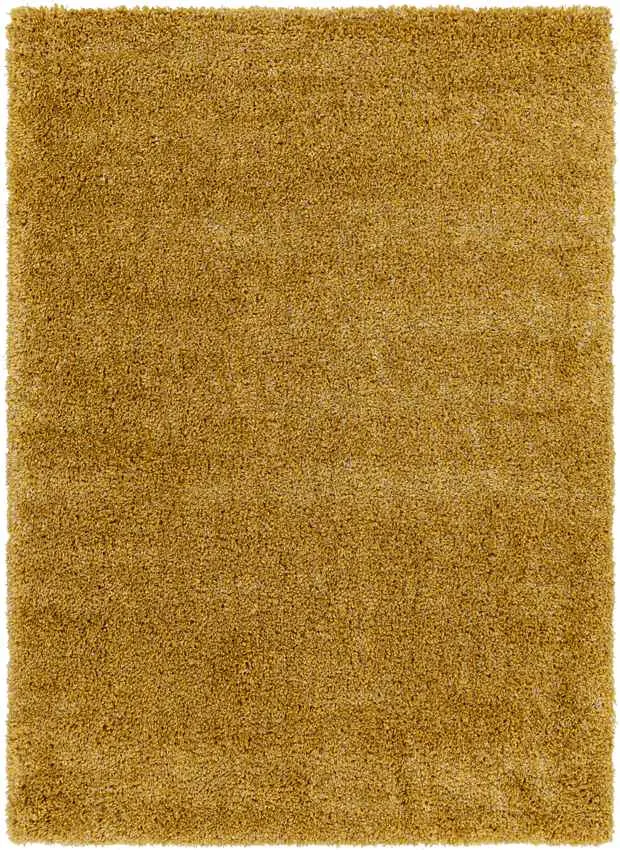 Elkriver Shag Area Rug Carpet for Living Room Bedroom or Kitchen