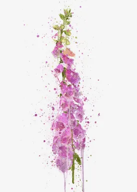 Flower Wall Art Print ‘Foxglove’